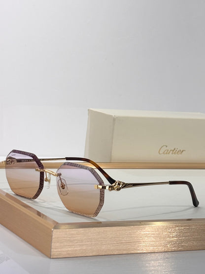 Cartier CT0910S Photochromic Fashion Silver Lens Sunglasses for Men & Women - detail image 3
