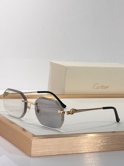 Cartier CT0910S Photochromic Fashion Silver Lens Sunglasses for Men & Women - detail image 8