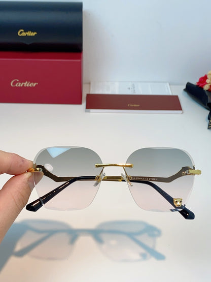 Cartier Photochromic Rimless Silver Lens Sunglasses for Men & Women - 372216 - detail image 4