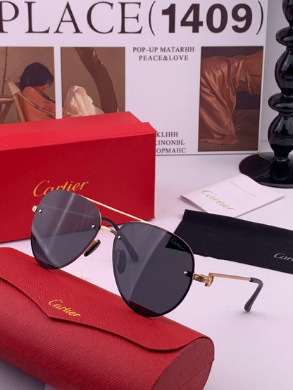 Cartier CK880663 Polarized Fashion Brown Lens Sunglasses for Men & Wo - 382749 - detail image 2