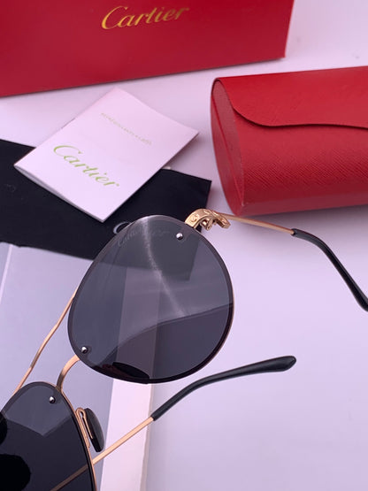 Cartier CK880663 Polarized Fashion Brown Lens Sunglasses for Men & Wo - 415909 - detail image 3
