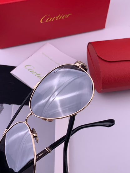 Cartier CK2424 Polarized Fashion Brown Lens Sunglasses for Men & Women - detail image 4