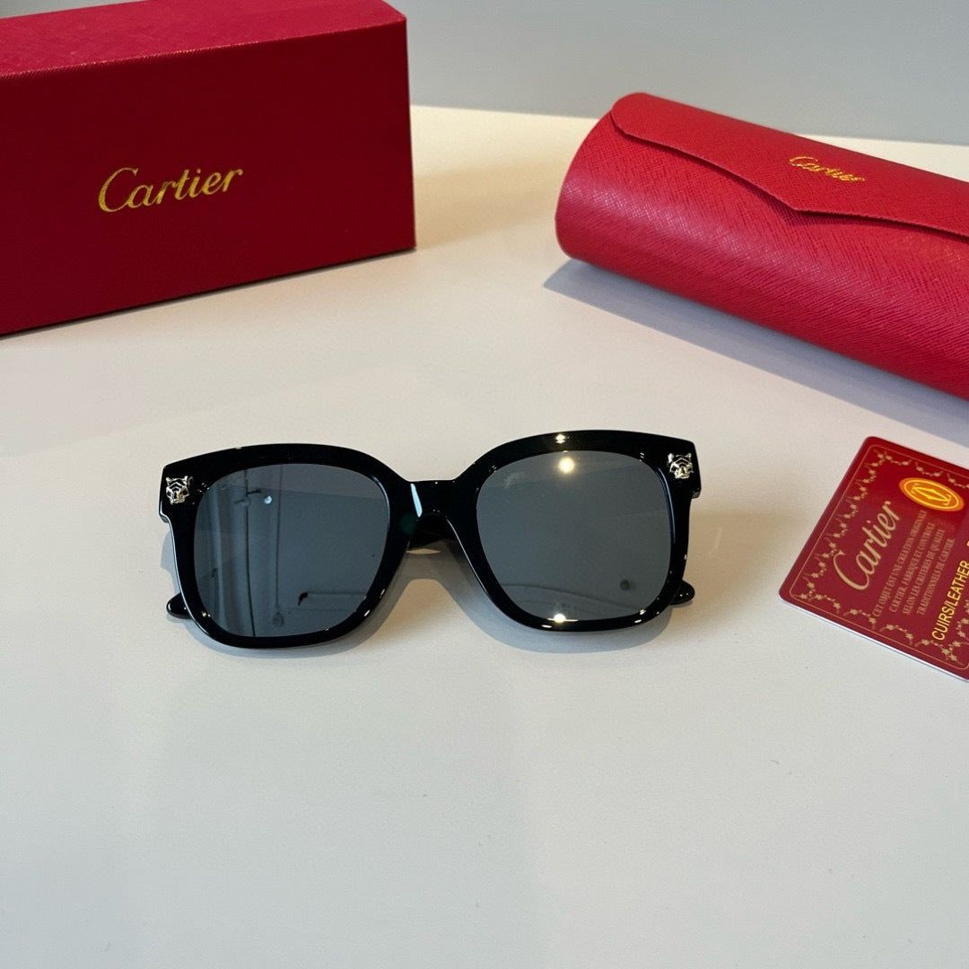 Cartier Lightweight Metal Rimless Black Lens Sunglasses for Men & Wom - 465763 - detail image 4