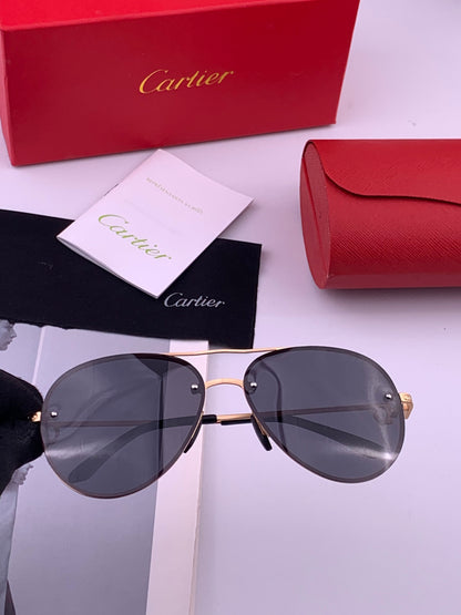 Cartier CK880663 Polarized Fashion Brown Lens Sunglasses for Men & Wo - 449515