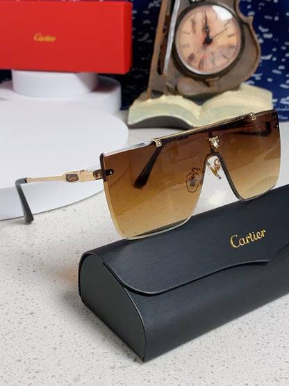 Cartier Fashion Brown Lens Sunglasses for Men - detail image 10