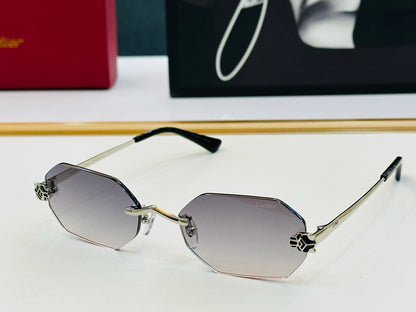 Cartier CT0599O Fashion Gray Lens Sunglasses for Men & Women