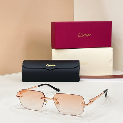 Cartier CT0926S Photochromic Fashion Black Lens Sunglasses for Men & Women - detail image 8