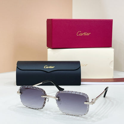 Cartier CT0803S Photochromic Fashion Black Lens Sunglasses for Men & - 132567 - detail image 9