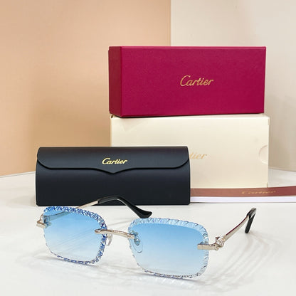 Cartier CT0803S Photochromic Fashion Black Lens Sunglasses for Men & - 132567 - detail image 5